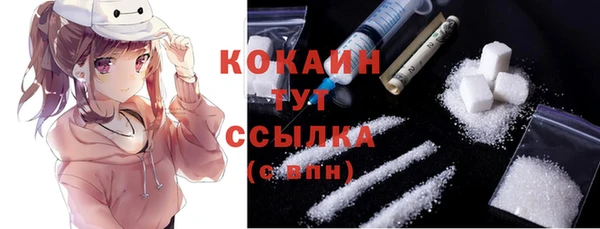 соль курить ск Каменка