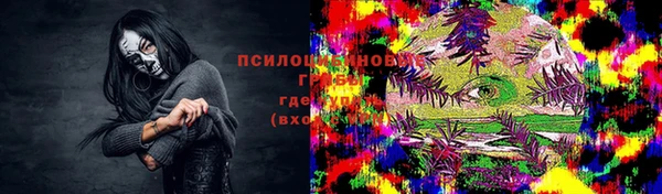 метадон Касимов