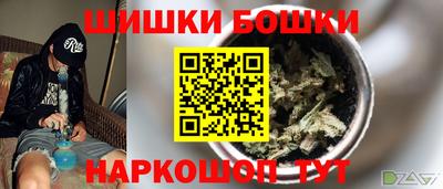 МДПВ Дубна