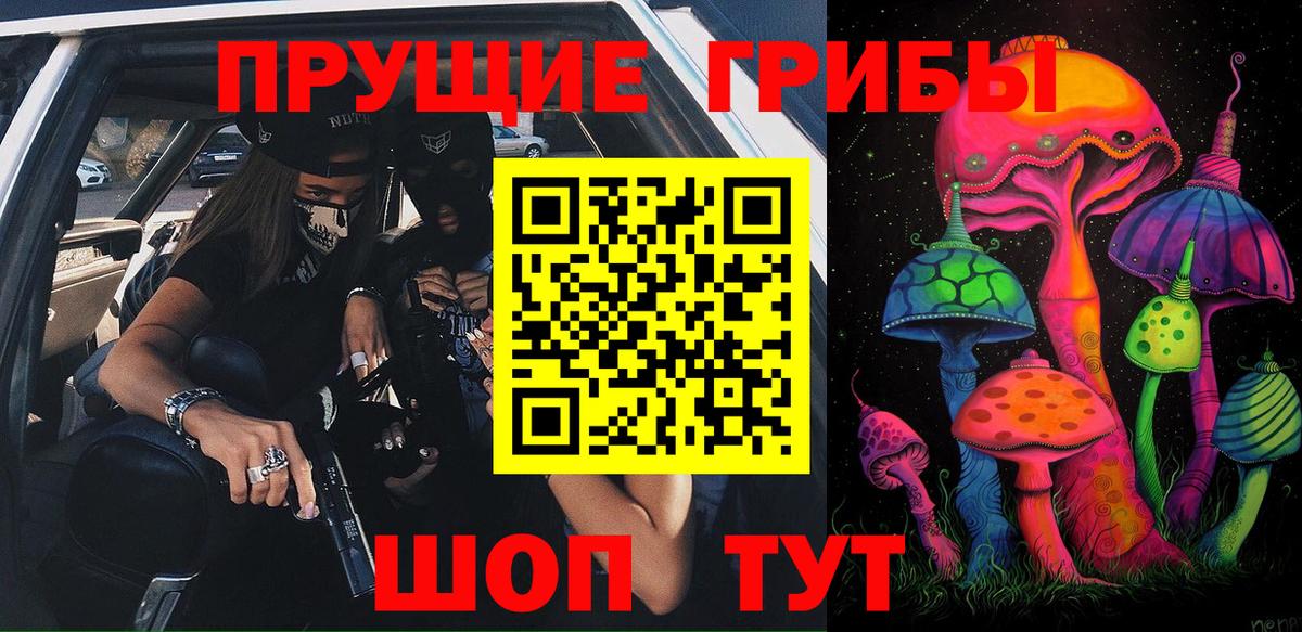 что такое наркотик  Псилоцибиновые грибы ЛСД  Вход с VPN  Михайловка 