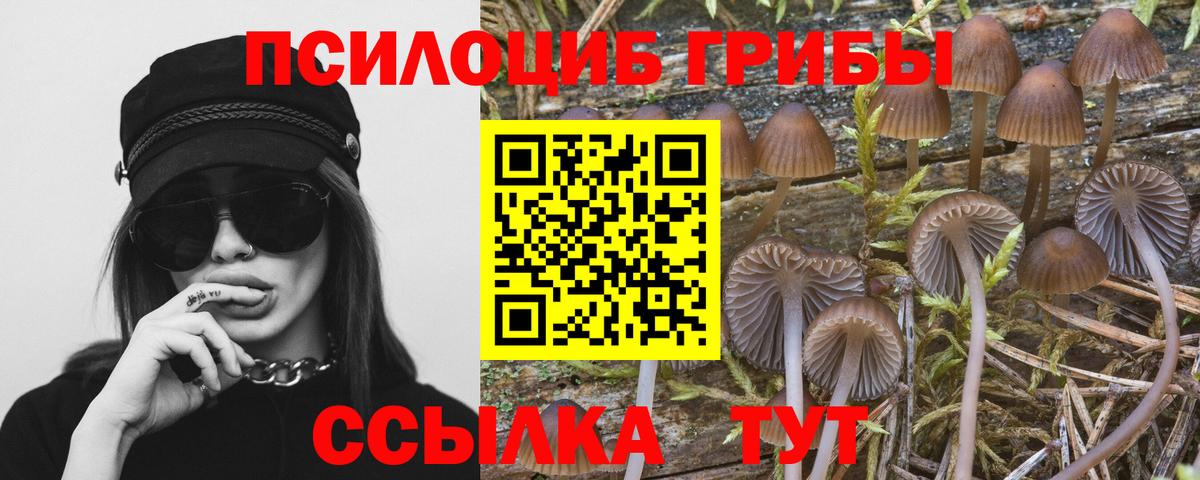 Галлюциногенные грибы GOLDEN TEACHER Михайловка